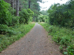 
Tunnel Gully leaving Maymorn, January 2013